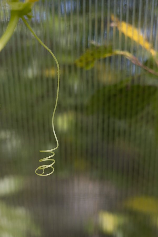 Comment les séances de musculation peuvent-elles être adaptées pour les personnes avec une seule jambe?